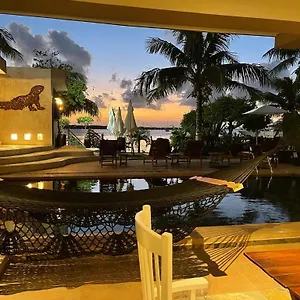 https://bahia-tolok.quintano-roohotels.com
