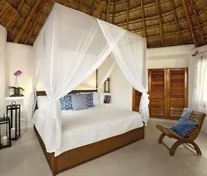 Las Palapas Hotel